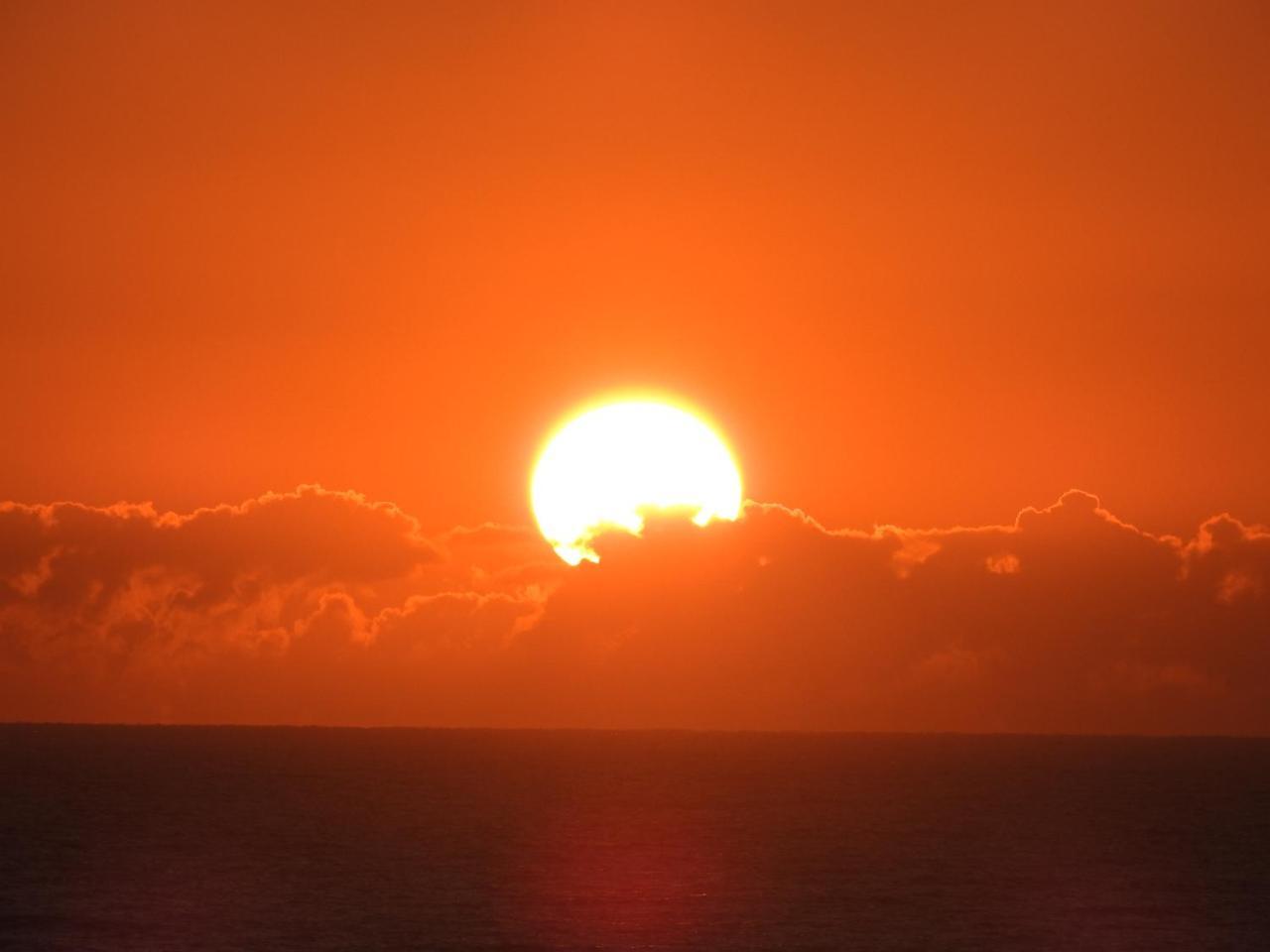 Albatross North Apartments Gold Coast Buitenkant foto